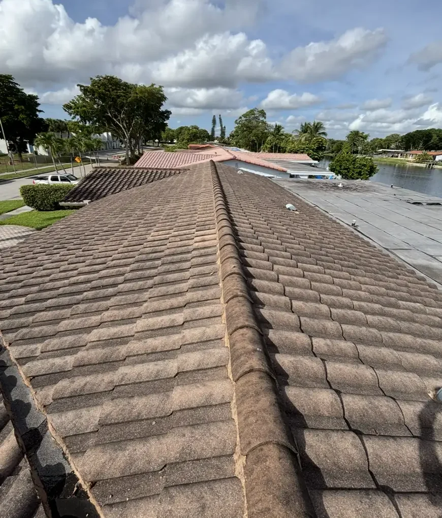 Before roof soft washing