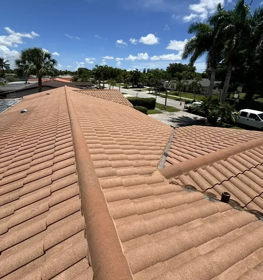 After roof soft washing