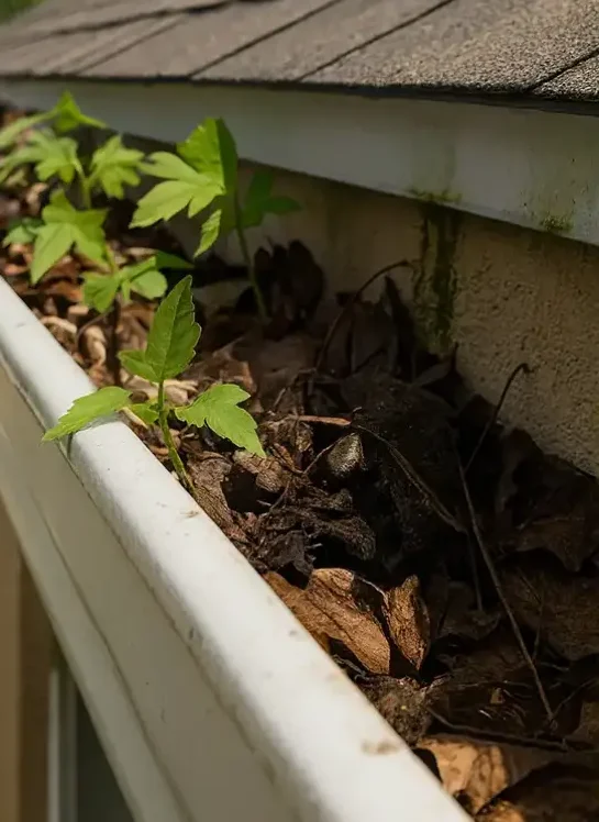 Before gutter cleaning